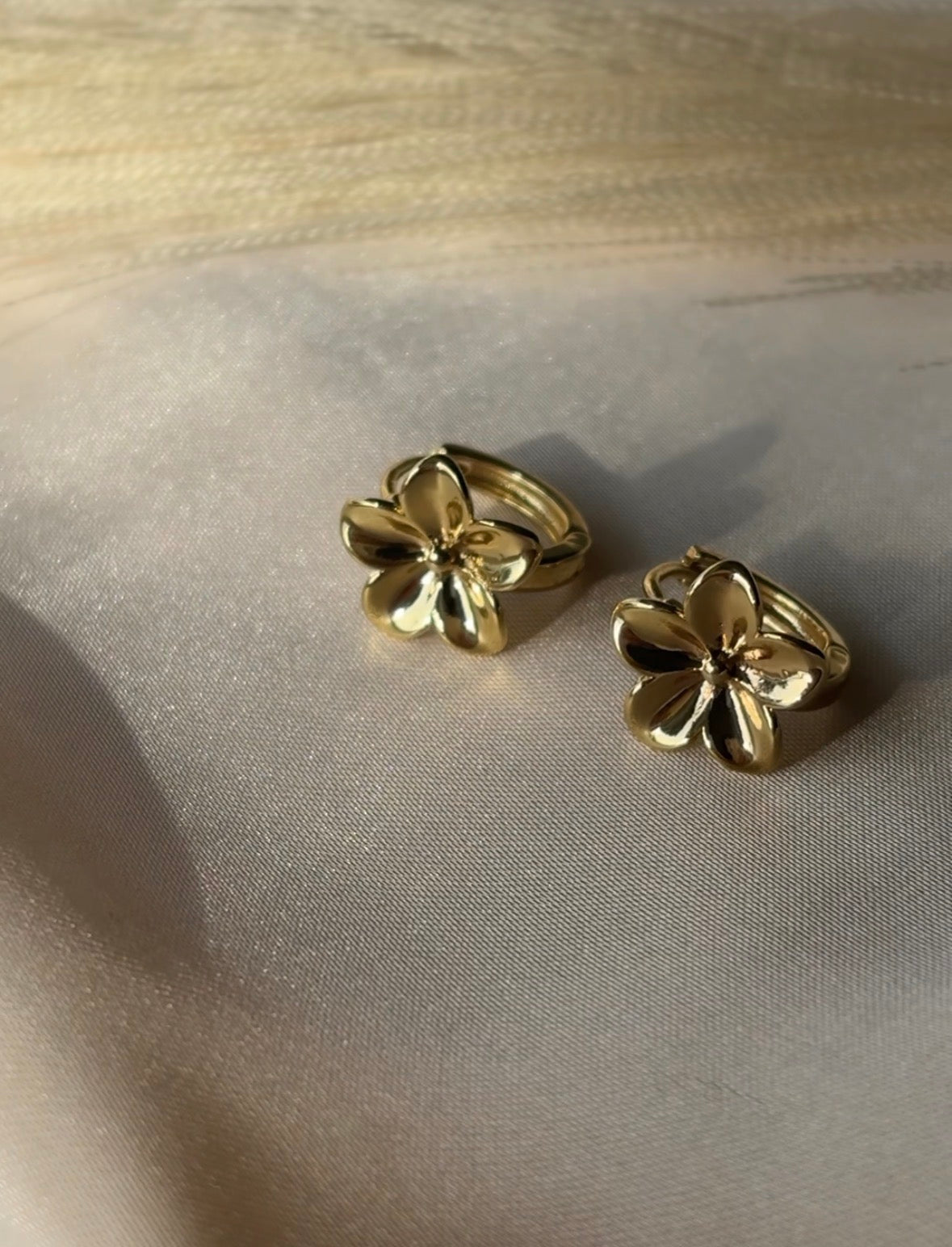 Aros Jacinta