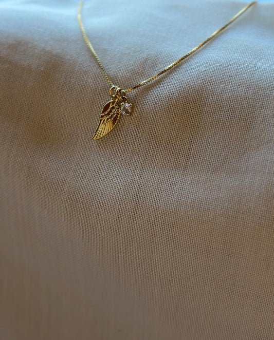 Collar siempre contigo