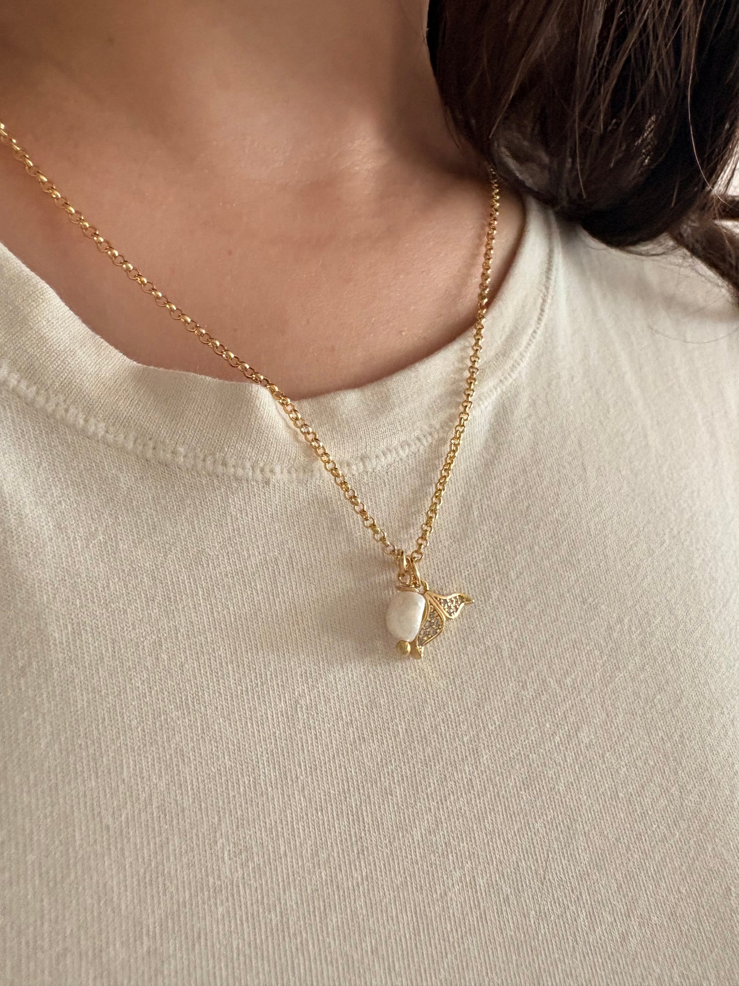 Collar Marina