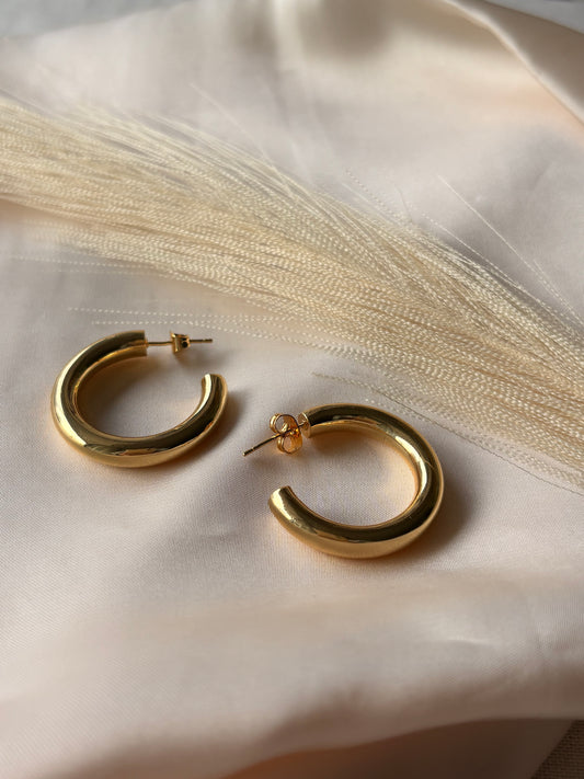 Argollas Icónicas