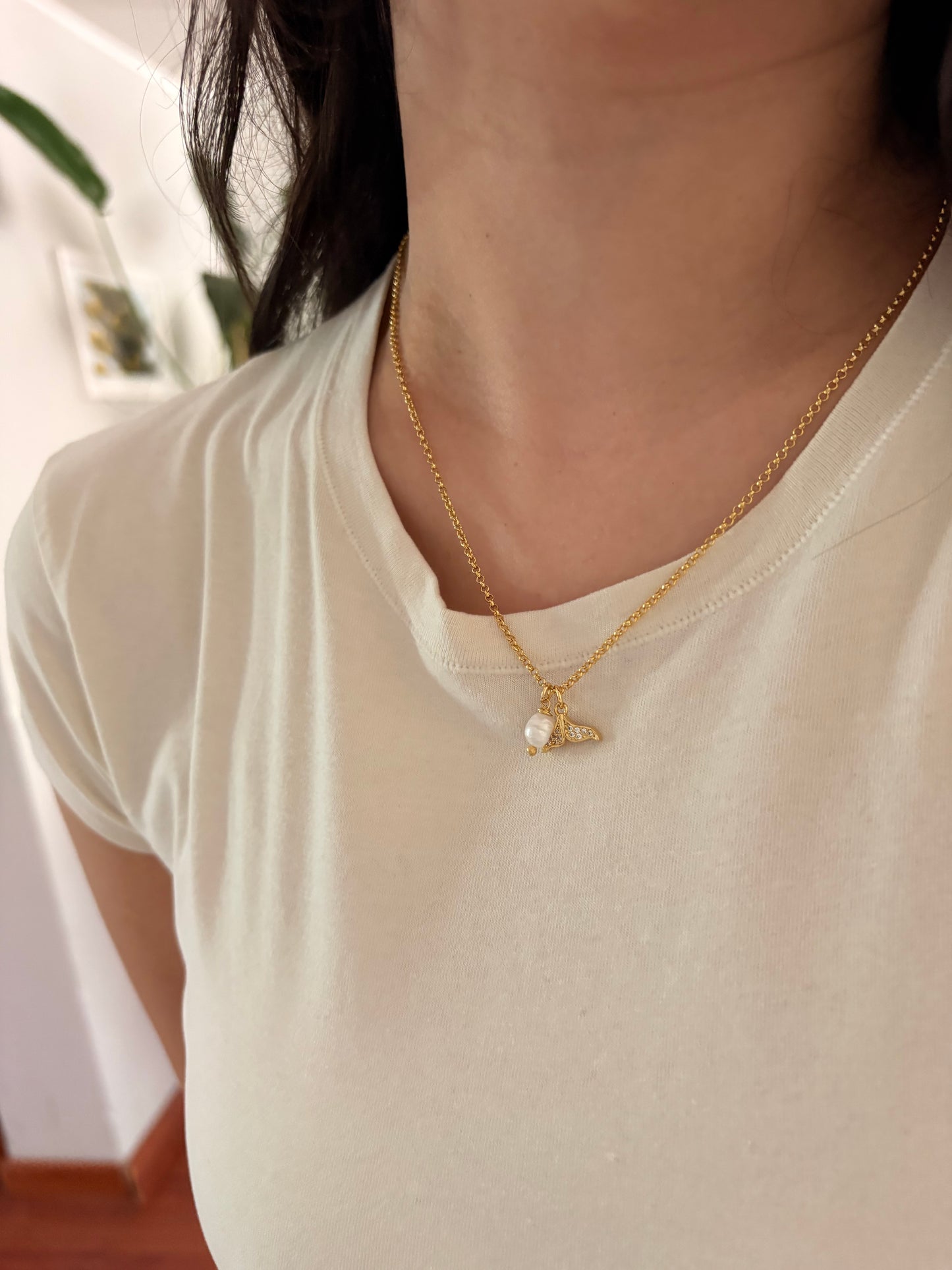 Collar Marina