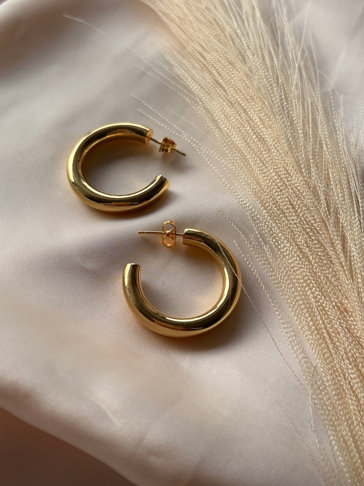 Argollas Icónicas